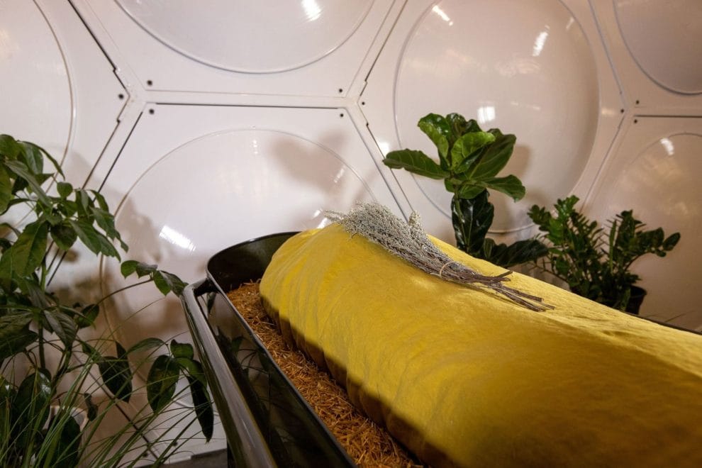 Ecofriendly hasta la muerte 11 1431160530