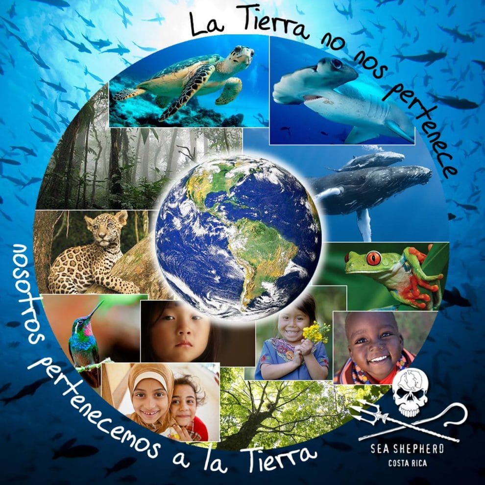 El planeta no nos pertenece  11 31116800 1086734261465392 5388015156909309952 n