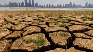 Captura de Pantalla 2023 02 16 a las 10.07.41