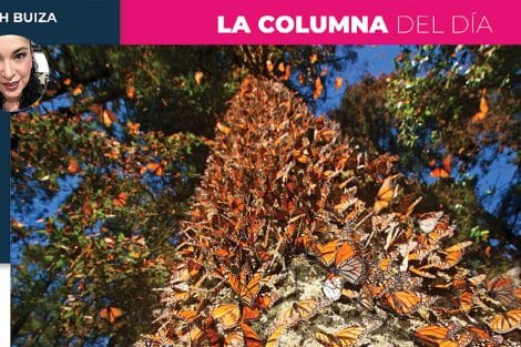 Columna Deborah Buiza