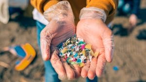 microplasticos oceano portada