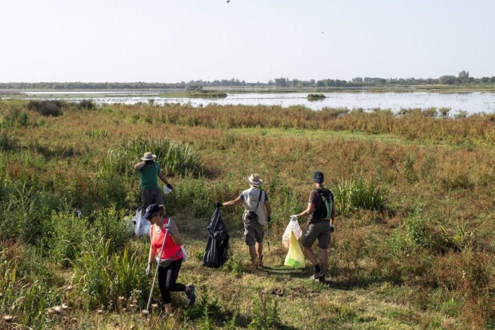 Detectan hasta 59 contaminantes orgánicos en Áreas Importantes para la Conservación de las Aves y la Biodiversidad 11 1m2 El Rocio Huelva ii e1677854386548