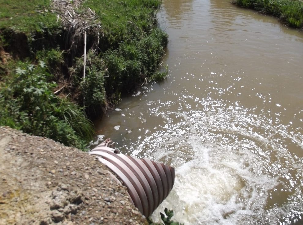 La ley de regadíos en Doñana verá “caso a caso” para tener agua en superficie 11 DONANA IMAGEN 1