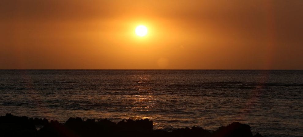 image1170x530cropped 2