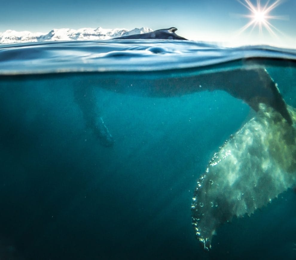 thumb 16082 default 900