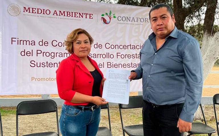 Gusano descortezador 11 Eddy Roldan Contla