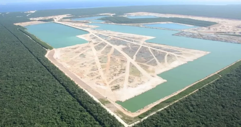 México busca la contrademanda 11 Minera Calica