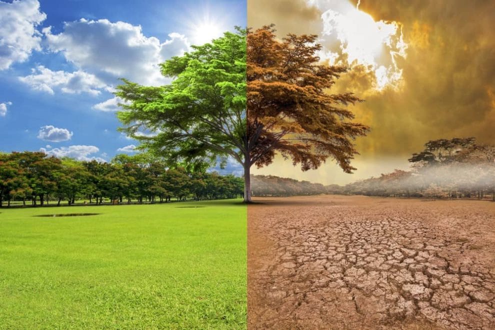 Cambio climático global, tema en el primer Coloquio Internacional: La humanidad amenazada  11 cambio climatico causas consecuencias 2