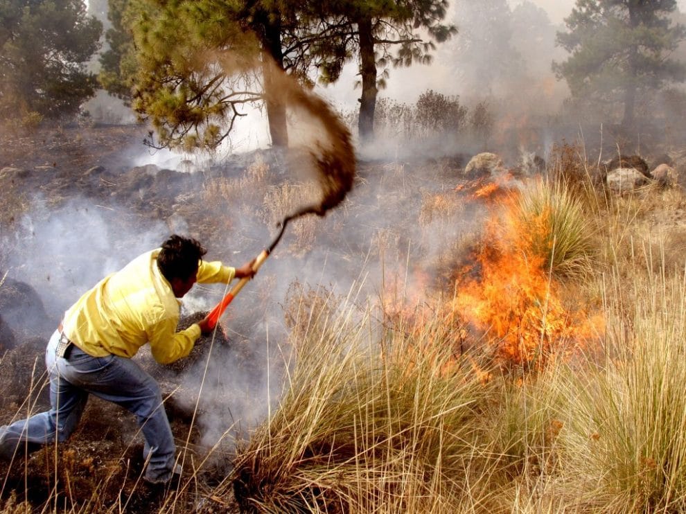 Incendios forestales en México a todo lo que da  11 014 70108077