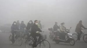 WhatsApp Image 2023 05 03 at 11.45.35