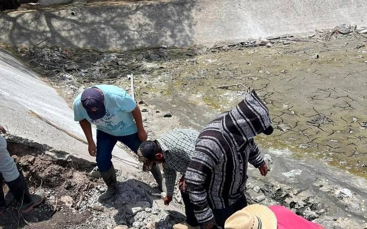 Querétaro ejecuta acciones en pro del medio ambiente 11 WhatsApp Image 2023 05 04 at 12.44.32