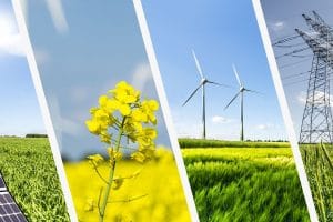 foto blog rensus 01 1200 0600