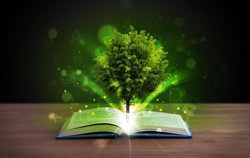 Sembrando Consciencia: La Importancia de la Educación Ambiental 11 que es la educacion ambiental concepto y objetivos 1475 orig