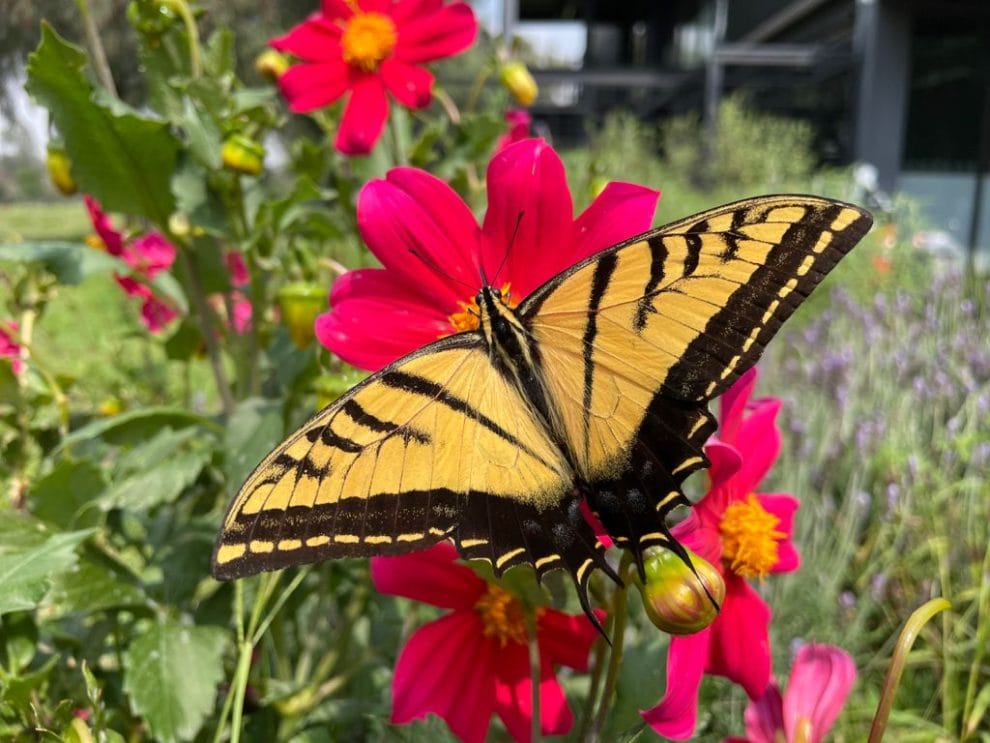 649618cc9e39c787627886