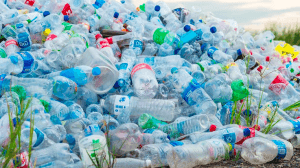 Captura de Pantalla 2023 06 05 a las 11.19.20