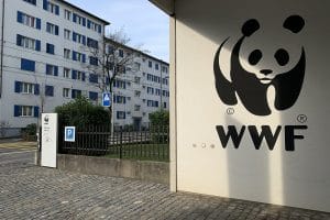 WWF Schweiz Zurich Office Ank Kumar Infosys Limited 01