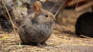 WhatsApp Image 2023 06 22 at 12.38.37