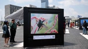 galeria fotografica puebla natural diversa