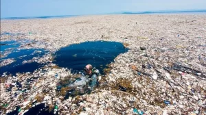 isla basura e1562789318220 1024x684.jpg