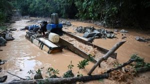 129778237 50593580 3d3d 4e48 87eb 42ed6a3ba45d