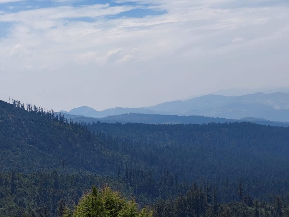 649ca64e43f58259585989