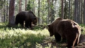 WhatsApp Image 2023 07 03 at 12.33.50