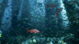 WhatsApp Image 2023 07 05 at 16.03.10