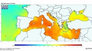 WhatsApp Image 2023 07 26 at 11.19.17