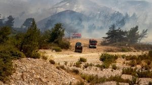 WhatsApp Image 2023 07 27 at 12.08.26