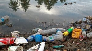 image1170x530cropped