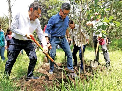 Programa Empleo Verde: 900 beneficiarios intervendrán 19 áreas naturales 11 2988288