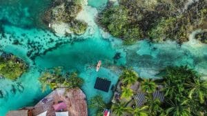 316861000 984654665691013 3962504992660507232 n 970x728 1