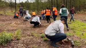 371814739 839577407533040 4419527964124136174 n focus 0 0 867 552