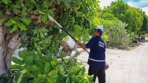 IMG 20230819 WA0019 1024x769 1