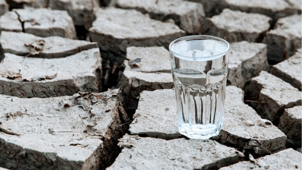 Semana Mundial del Agua 2