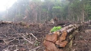 WhatsApp Image 2023 08 08 at 12.45.20