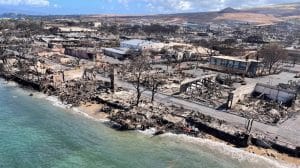 WhatsApp Image 2023 08 14 at 13.02.57