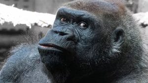 WhatsApp Image 2023 08 15 at 12.43.30