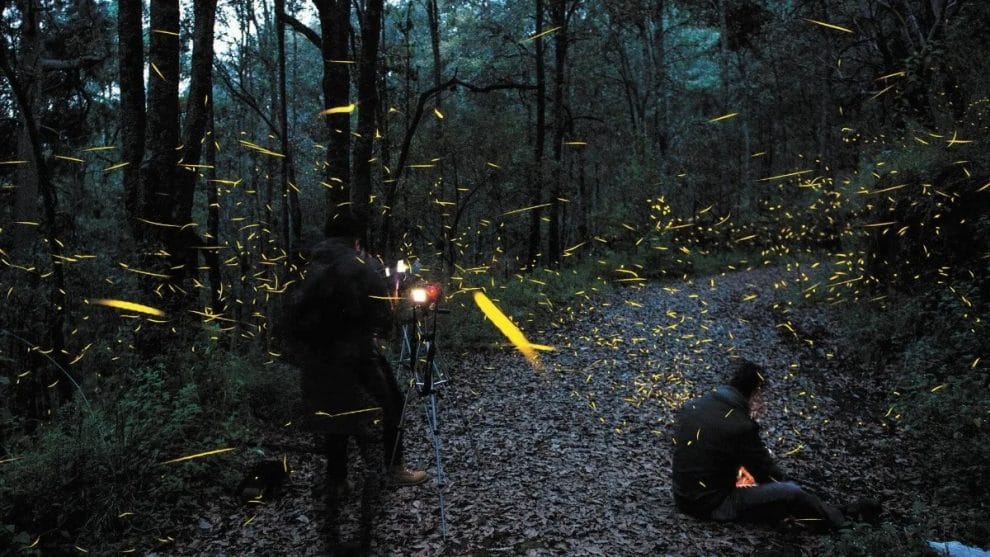 WhatsApp Image 2023 08 18 at 13.37.28