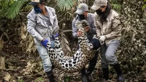 WhatsApp Image 2023 08 31 at 12.49.51