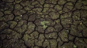 f.elconfidencial.com original f6a 682 f78 f6a682f78f19b6ab68e39f1775c71940