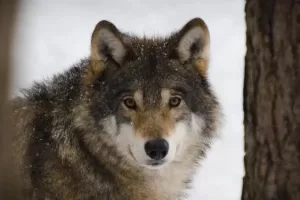 WhatsApp Image 2023 09 19 at 11.24.31