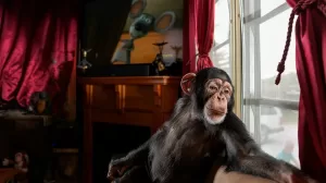 WhatsApp Image 2023 09 22 at 11.33.39