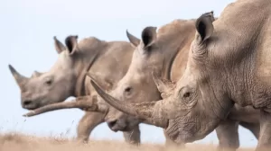 WhatsApp Image 2023 09 22 at 12.44.14