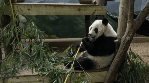 178b27 5b07e260191d4c73b7eb361e34671f27mv2