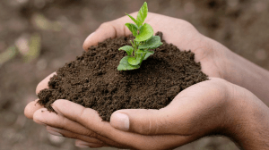 178b27 f3e4aabc32c7432cb031cfc22c331711mv2