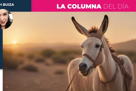 Columnistas DEBORAH 07