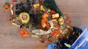 Desperdicio de alimentos 828x548 1