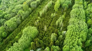 Imagen de WhatsApp 2023 10 10 a las 11.16.07 9e8af1a9