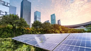 WhatsApp Image 2023 10 03 at 15.28.59